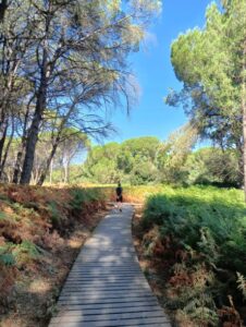 Foto Doñana