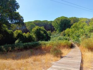 Foto Doñana