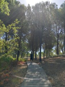 Foto Doñana
