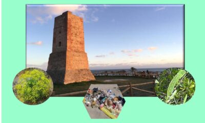 Evento Solidario en Dunas de Artola por el Día Mundial del Medio Ambiente
